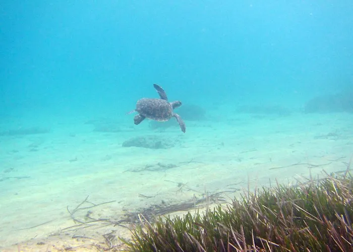 & (adults Only) Hotel